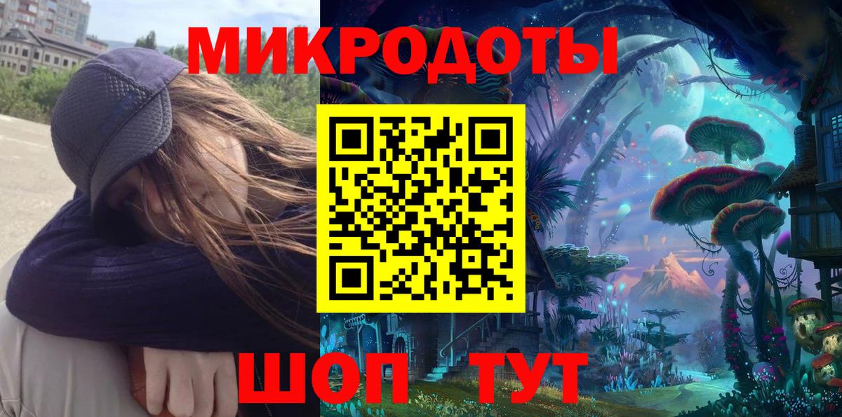 Галлюциногенные грибы Cubensis  Вход с VPN  Зеленогорск  Псилоцибиновые грибы Psilocybe 